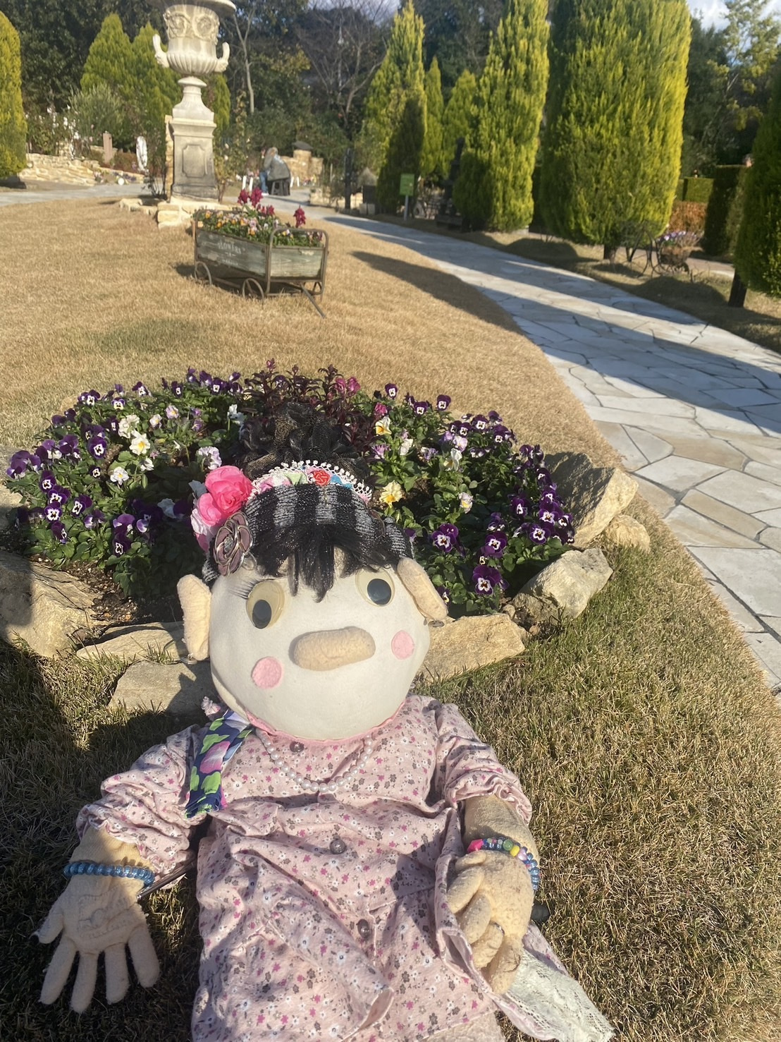 s__182812687_0.jpg