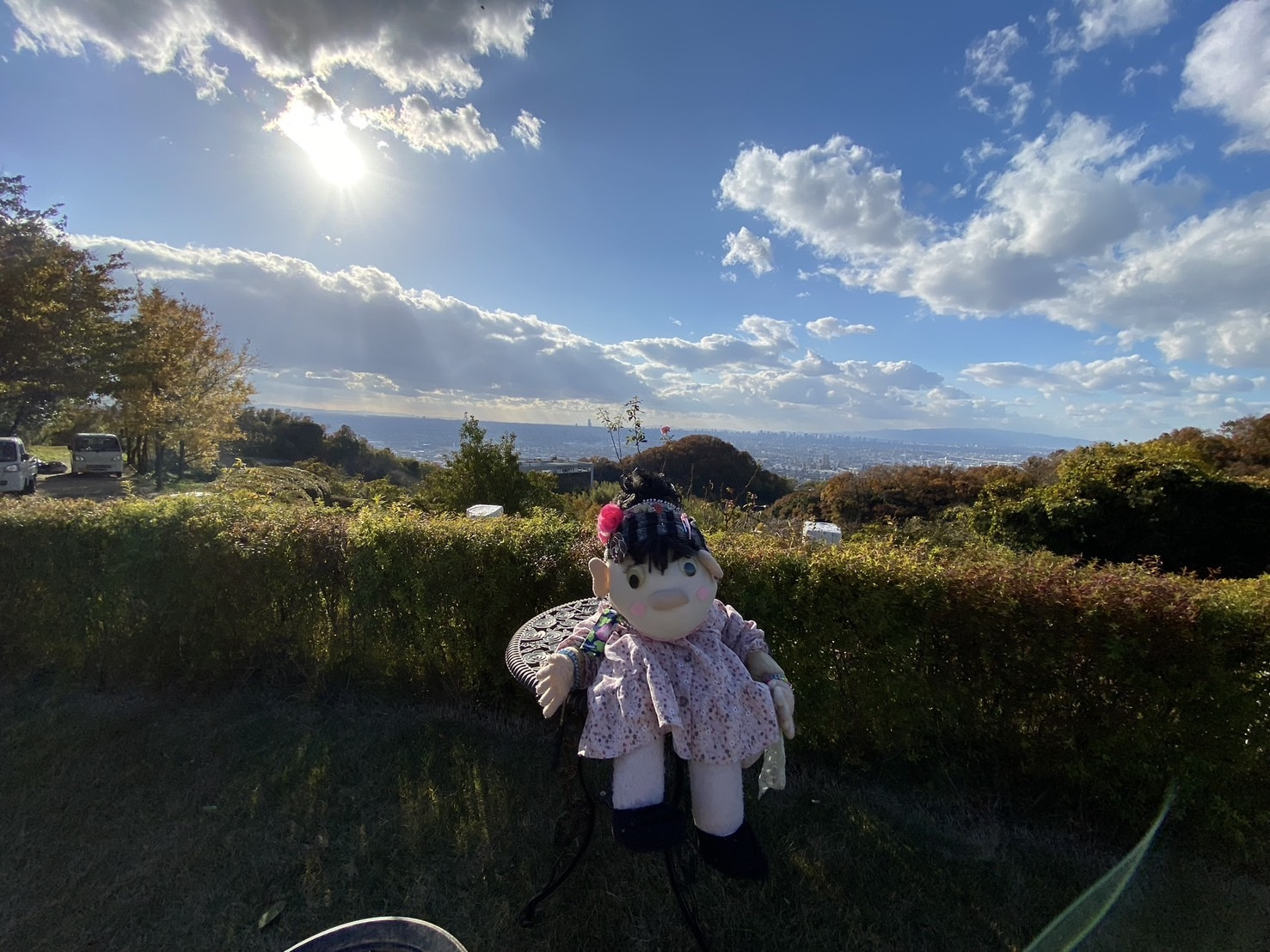 s__182812686_0.jpg
